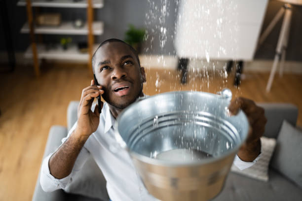 Best Flood damage cleanup  in Vero Lake Estates, FL