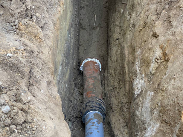 Best Flood restoration services  in Vero Lake Estates, FL