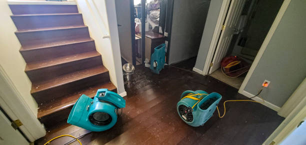 Best Water damage cleanup near me  in Vero Lake Estates, FL