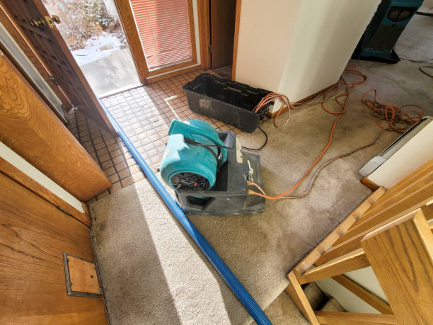 Best Local water damage restoration  in Vero Lake Estates, FL