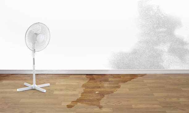 Best Water damage restoration insurance claims  in Vero Lake Estates, FL