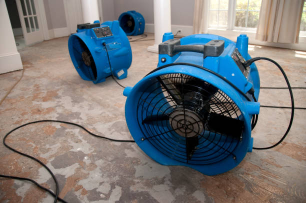 Best Ceiling water damage repair  in Vero Lake Estates, FL