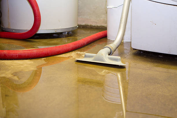 Best 24/7 water damage repair  in Vero Lake Estates, FL