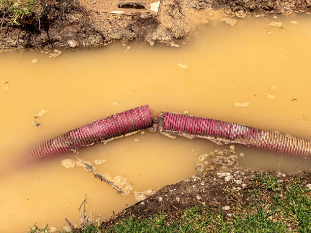 Best Local water damage restoration  in Vero Lake Estates, FL