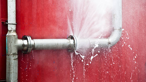 Best Mold removal after water damage  in Vero Lake Estates, FL